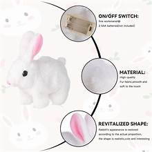 .Walking And Taking Rabbit For Kids