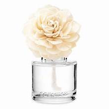 pink sunshine flower scentsy fragrance flower