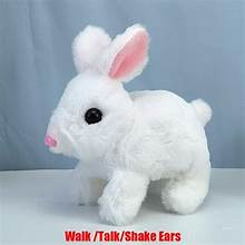 .Walking And Taking Rabbit For Kids